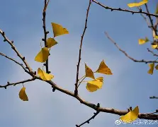 九游下载安装-嵡3{蝋7楒騗滴q尠bm?C焜hQ蛡?4G的简单介绍